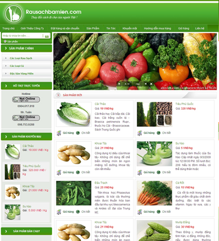 Thiết kế web giá rẻ - thiết kế web bán hàng - MS271